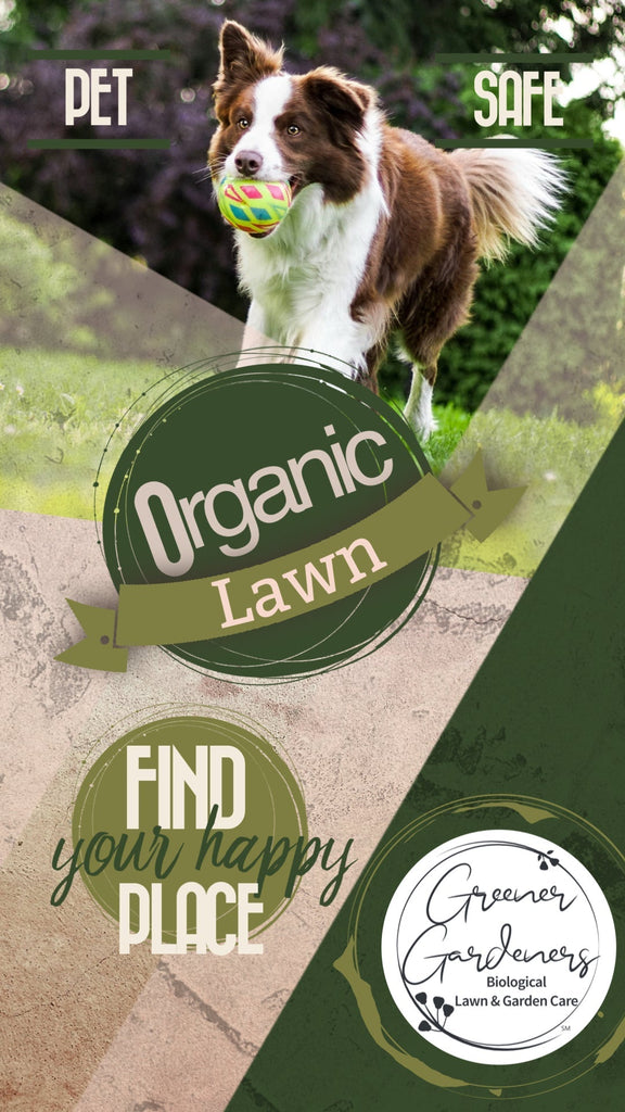 Restoring Balance: A Healthier Path to a Greener Lawn