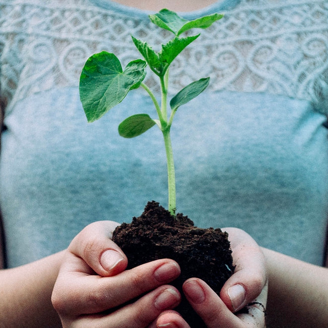 Premium Compost and Soil
